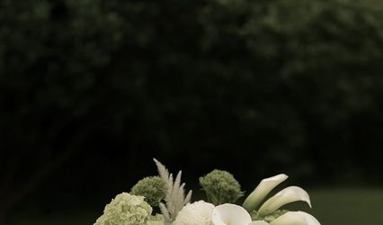 Evé Events