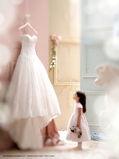 Amore' Bridal and Tuxedo