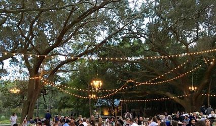 Live Oak Plantation