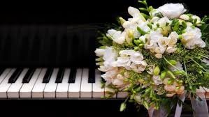 Sid Entertainment-Solo Contemporary Pianist. Wedding Ceremony Music