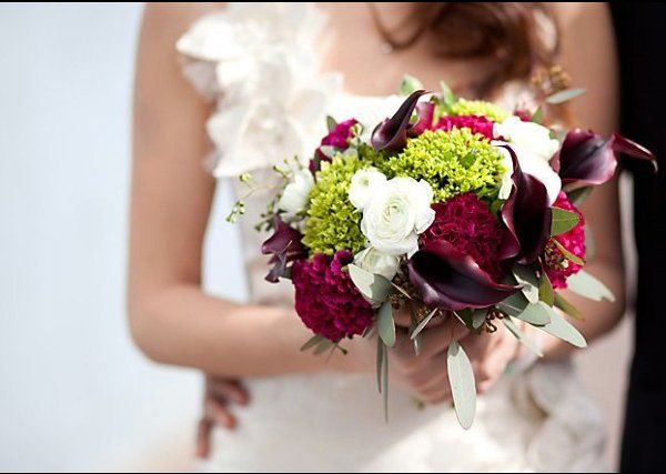 Amie Reardon - Lifestyle Photographer