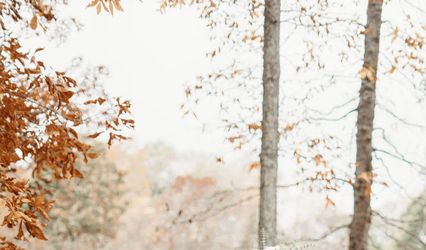 Every Little Thing Weddings & Events