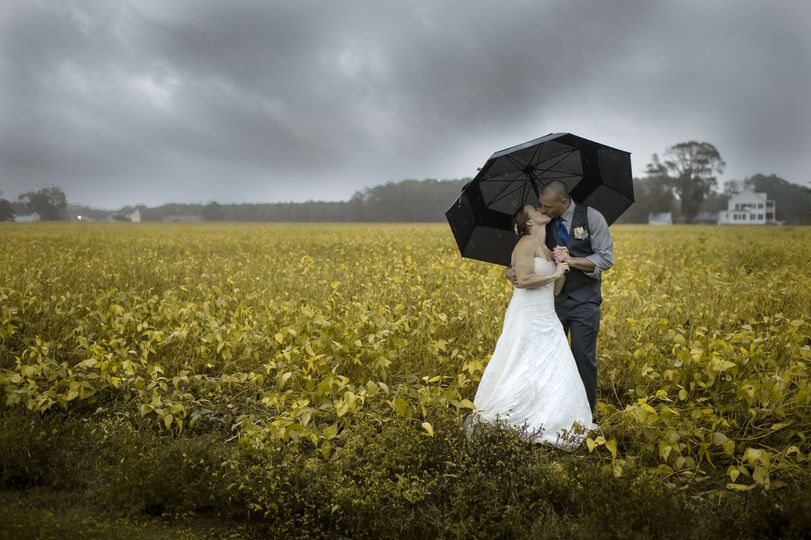 Womble Photography