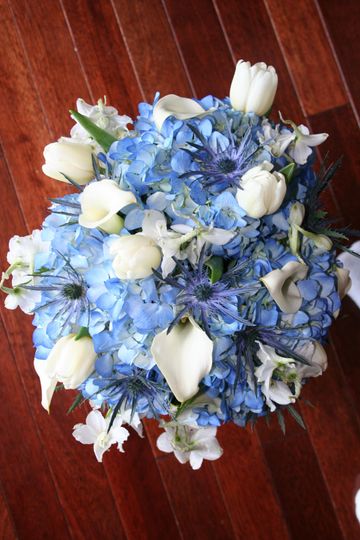 Pennington's Petals