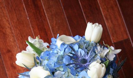 Pennington's Petals