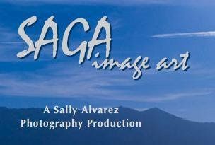 Saga Image Art