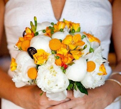 Passion 4 Petals