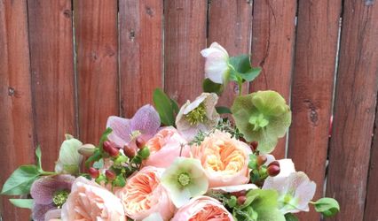 Violet's Event & Floral Design