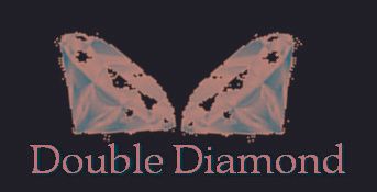 Double Diamond Party and Event Solutions Inc