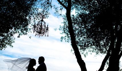 Weddings by Tana