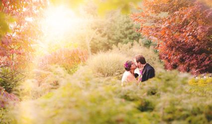 Kristen Driscoll Photography