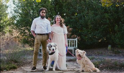 Furever Together Pet Care