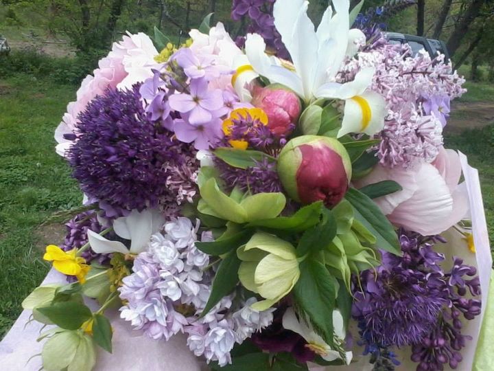 Garden by the woods