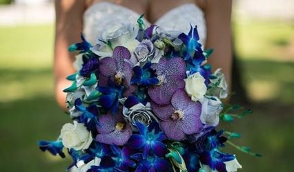 Ambar Flower Gift & Shop