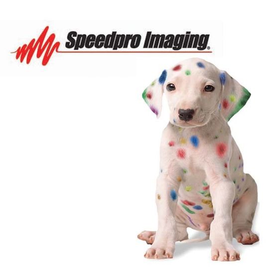 Speedpro Imaging Richmond