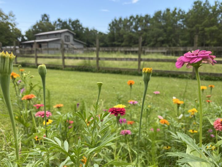 Greenlands Farm