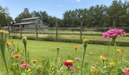 Greenlands Farm