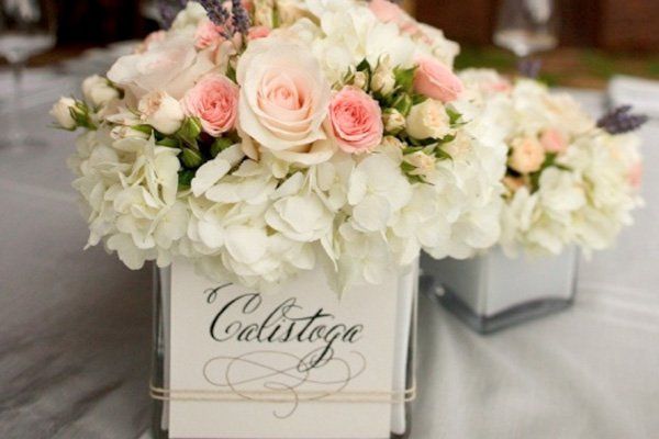 Miss B Calligraphy