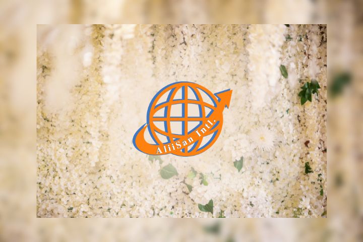 AliiSan International, Inc.