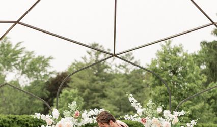 Champagne Petal Rentals