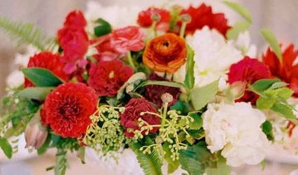 The Flower Pot