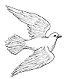 White Dove Bridal
