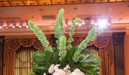 ZAZA & Co. Events & Design