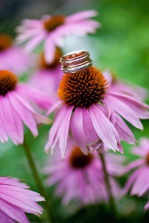 Beholding Eye Photography
