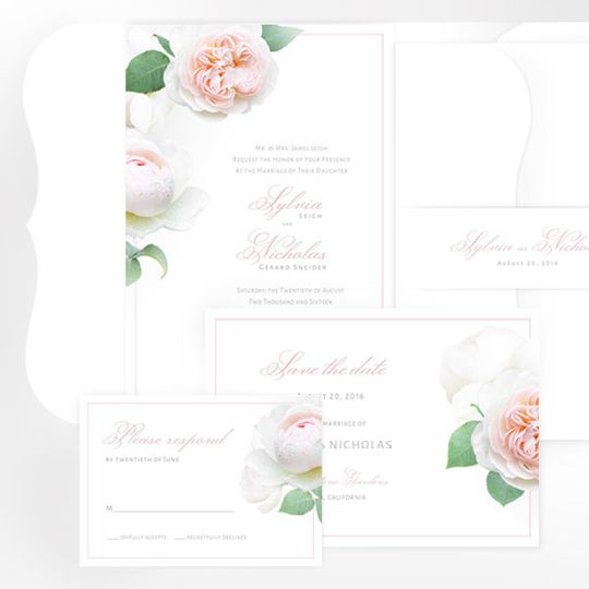 Vivid Invites