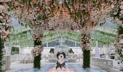 Keely Thorne Events