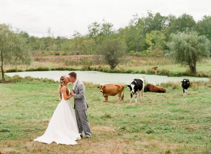 Castle Hill Farm