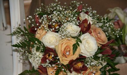 Elegant Events by Lena
