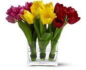 Bayside Florist