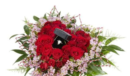 The Elegant Flower