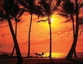 Best Cruises and Travel Intl.
