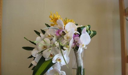Petals A Flower Studio
