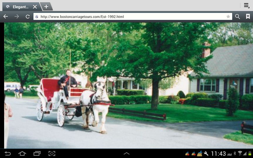Elegant Touch Horse and Carriage Company - Transportation - Holbrook
