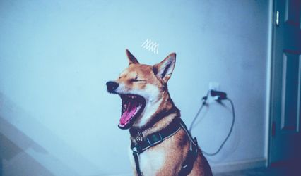 THEMOTIVATION