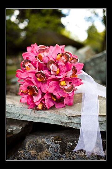 When Flowers Dream