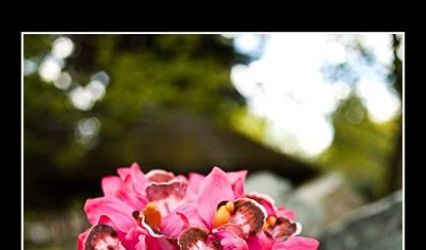 When Flowers Dream