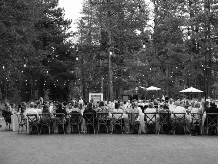 Dancing Pines