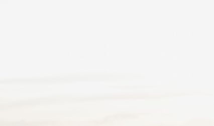 Modern Petals Rentals