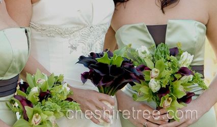 Cheshire Tree Floral Designs