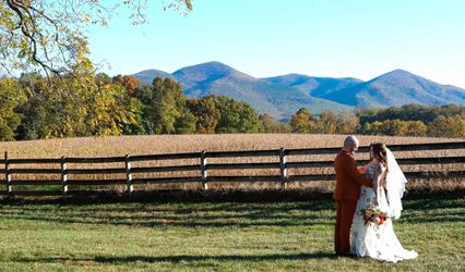 Zhanna Wedding Films