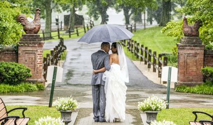 Memories of Bliss Photography