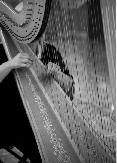 Queen Harp, Carlsbad Harpi