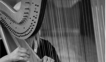 Queen Harp, Carlsbad Harpi