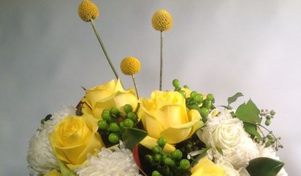 Flowers by Stephanie