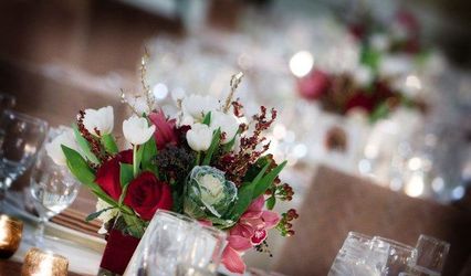 Cangiano Events
