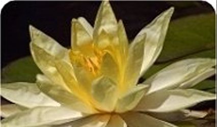 Soul Workings